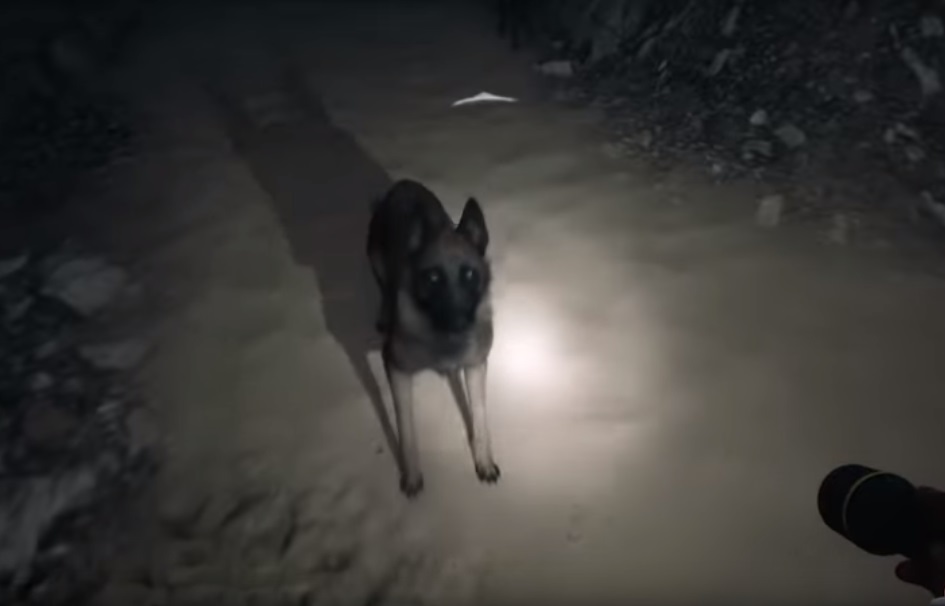 Похожие идеи в разных играх 220144-15