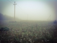 Silent Hill (серия) 204026-1